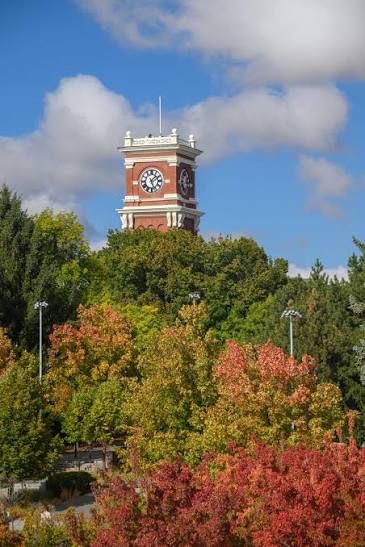 check out WSU campus fun things to do on WSU campus